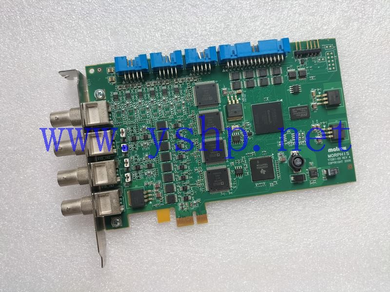 上海源深科技 Industrial Board MATROX MORPHIS Y7281-00 REV.A MOR4VDE/84* 高清图片